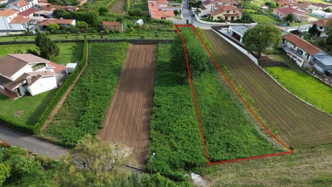 Terreno para Venda em Branca