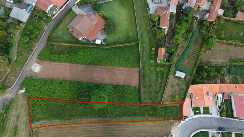 Terreno para Venda em Branca