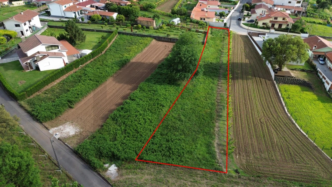 Terreno para Venda em Branca Foto 3