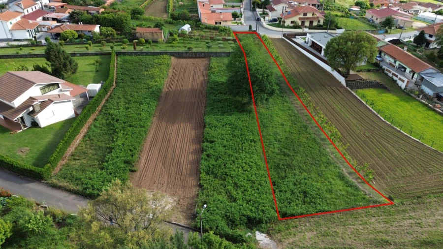 Terreno para Venda em Branca
