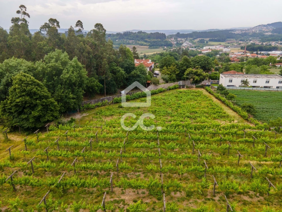 Terreno para Venda em Lemenhe, Mouquim e Jesufrei Foto 11