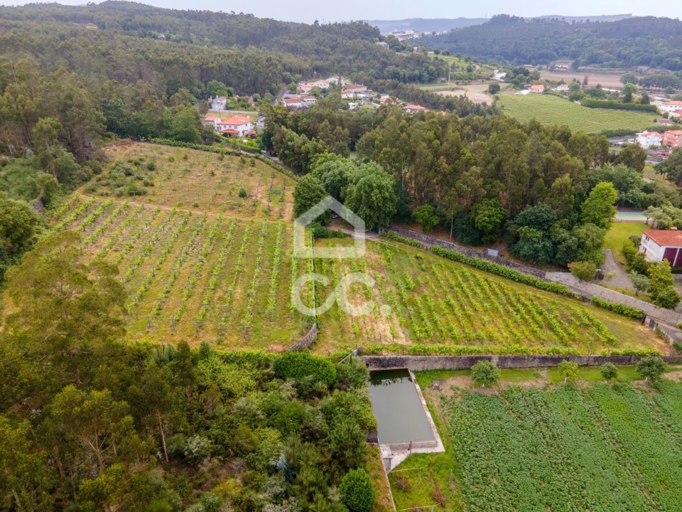 Terreno para Venda em Lemenhe, Mouquim e Jesufrei Foto 13