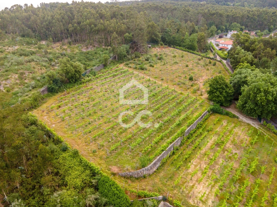 Terreno para Venda em Lemenhe, Mouquim e Jesufrei Foto 14