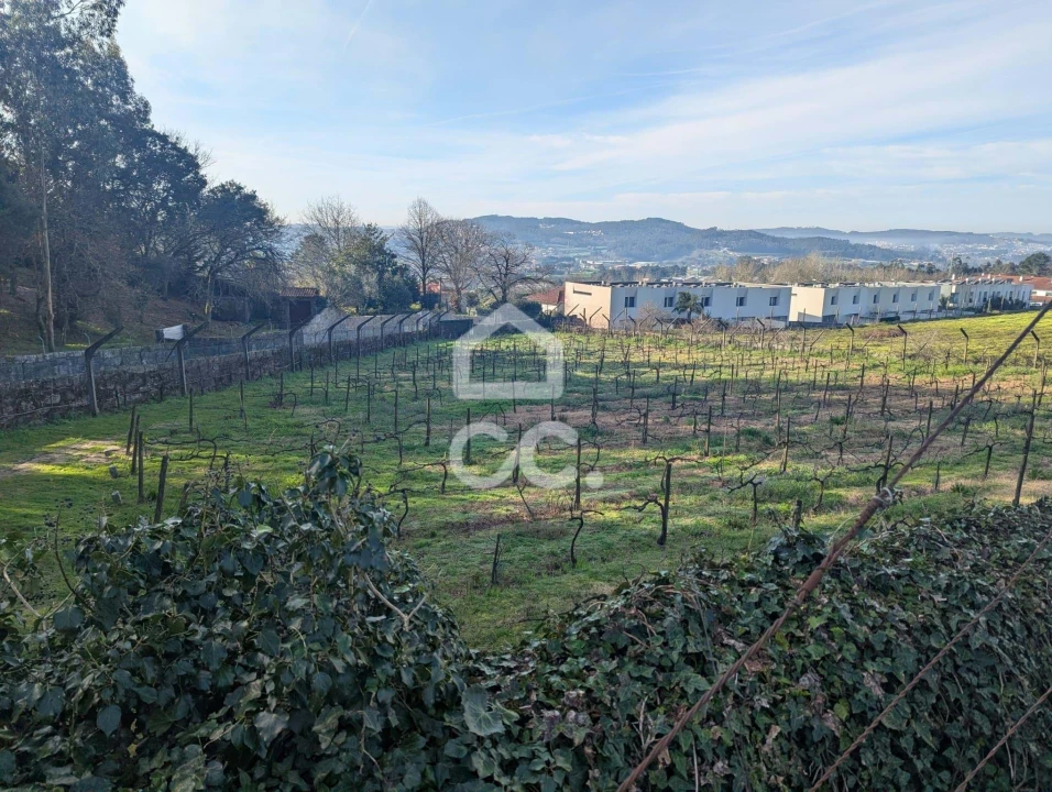 Terreno para Venda em Lemenhe, Mouquim e Jesufrei Foto 6