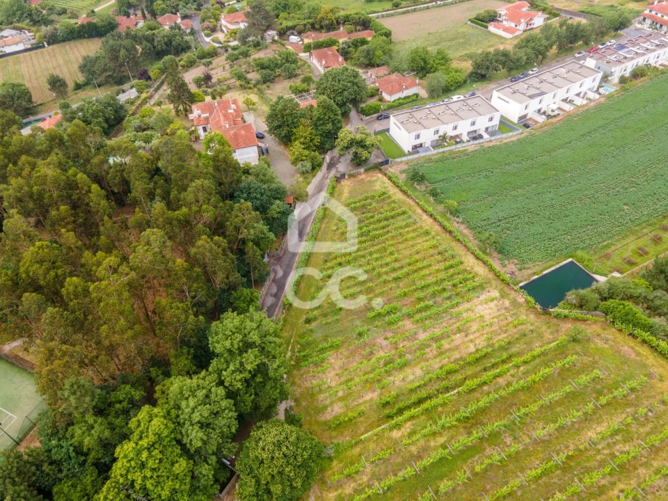 Terreno para Venda em Lemenhe, Mouquim e Jesufrei Foto 8