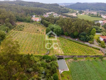 Terreno para Venda em Lemenhe, Mouquim e Jesufrei