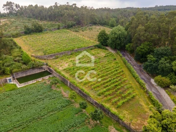 Terreno para Venda em Lemenhe, Mouquim e Jesufrei