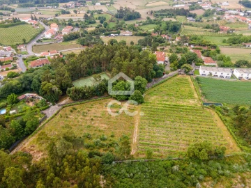 Terreno para Venda em Lemenhe, Mouquim e Jesufrei