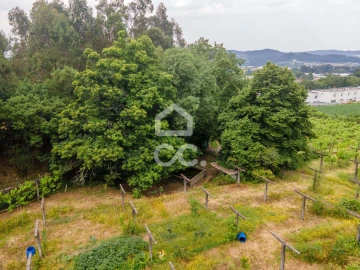 Terreno para Venda em Lemenhe, Mouquim e Jesufrei