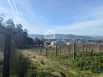 Terreno para Venda em Lemenhe, Mouquim e Jesufrei
