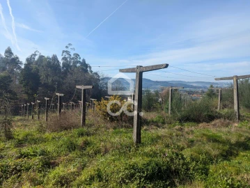 Terreno para Venda em Lemenhe, Mouquim e Jesufrei