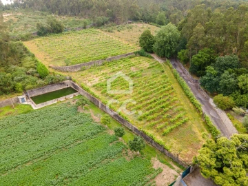 Terreno para Venda em Lemenhe, Mouquim e Jesufrei