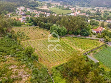 Terreno para Venda em Lemenhe, Mouquim e Jesufrei