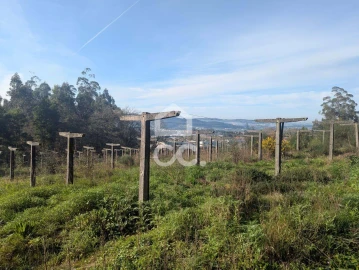 Terreno para Venda em Lemenhe, Mouquim e Jesufrei