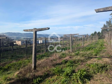 Terreno para Venda em Lemenhe, Mouquim e Jesufrei