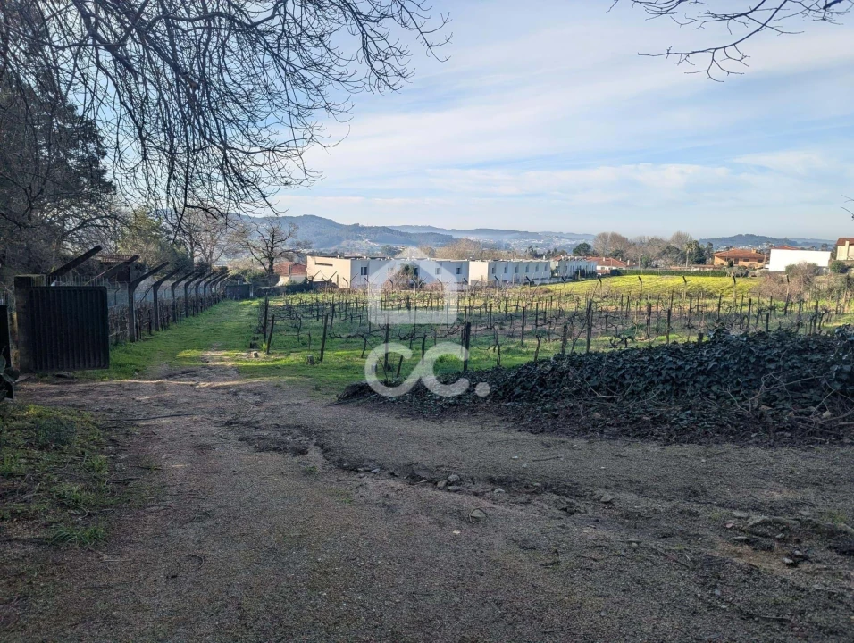 Terreno para Venda em Lemenhe, Mouquim e Jesufrei Foto 2