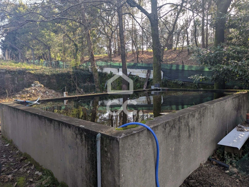 Terreno para Venda em Lemenhe, Mouquim e Jesufrei Foto 5