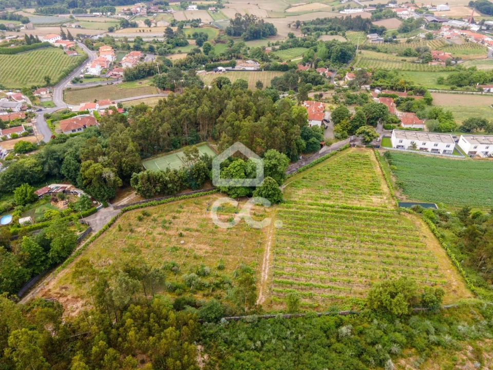 Terreno para Venda em Lemenhe, Mouquim e Jesufrei Foto 5