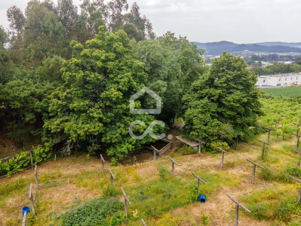 Terreno para Venda em Lemenhe, Mouquim e Jesufrei Foto 9