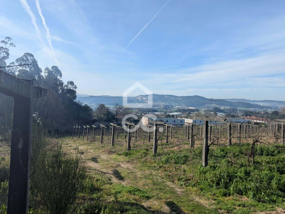 Terreno para Venda em Lemenhe, Mouquim e Jesufrei Foto 9