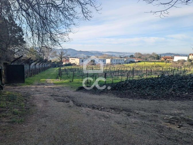 Terreno para Venda em Lemenhe, Mouquim e Jesufrei Foto 2
