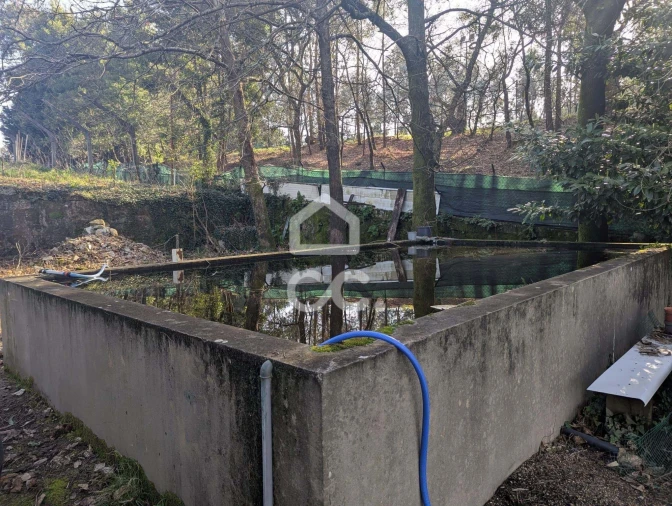 Terreno para Venda em Lemenhe, Mouquim e Jesufrei Foto 5