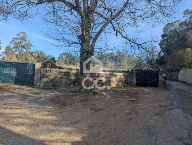Terreno para Venda em Lemenhe, Mouquim e Jesufrei Foto 14