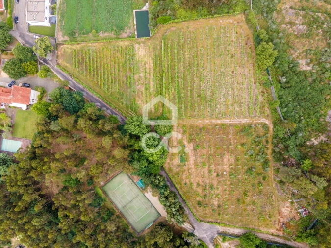 Terreno para Venda em Lemenhe, Mouquim e Jesufrei Foto 7