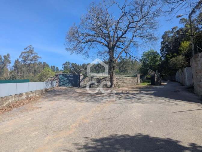 Terreno para Venda em Lemenhe, Mouquim e Jesufrei Foto 16