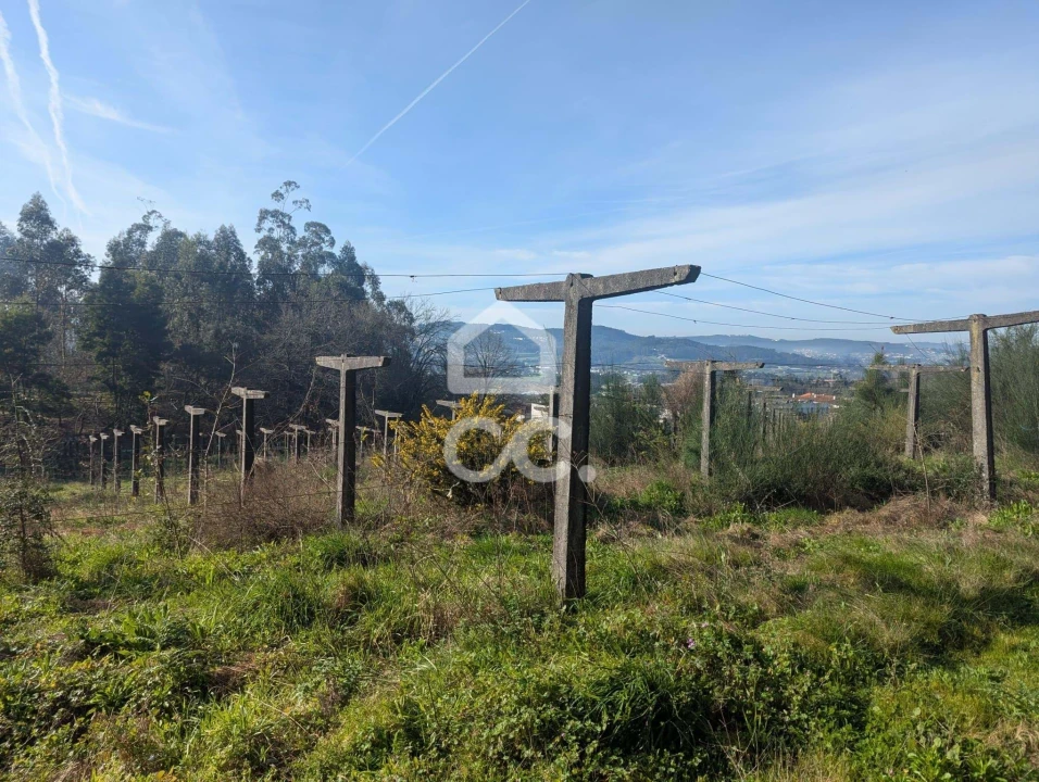 Terreno para Venda em Lemenhe, Mouquim e Jesufrei Foto 1