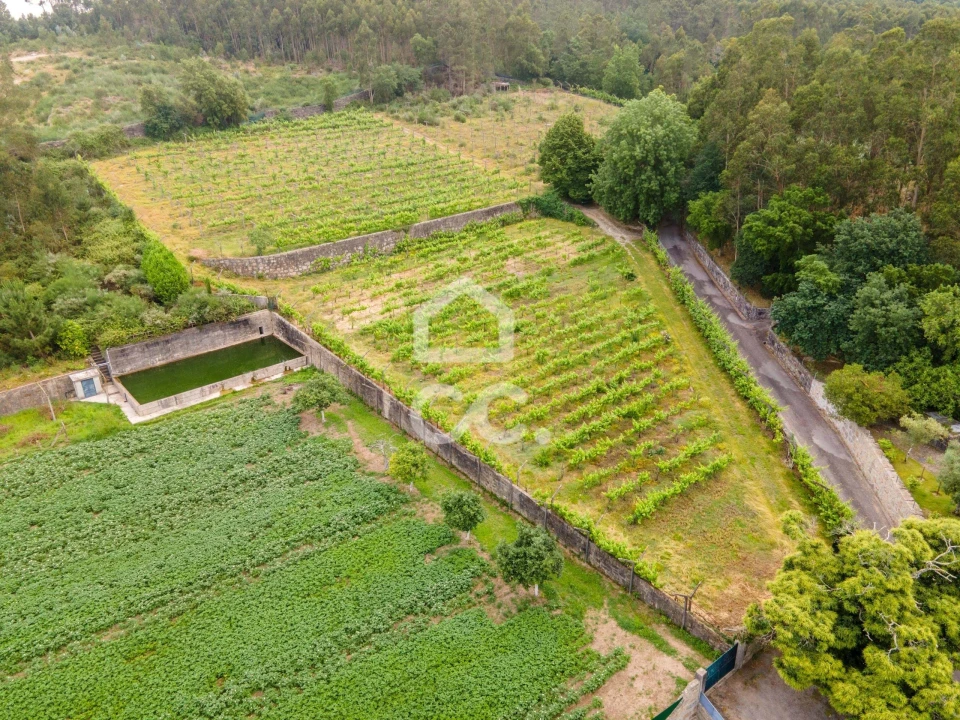 Terreno para Venda em Lemenhe, Mouquim e Jesufrei Foto 3