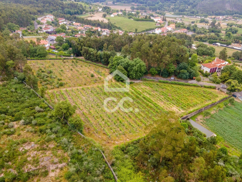 Terreno para Venda em Lemenhe, Mouquim e Jesufrei Foto 4