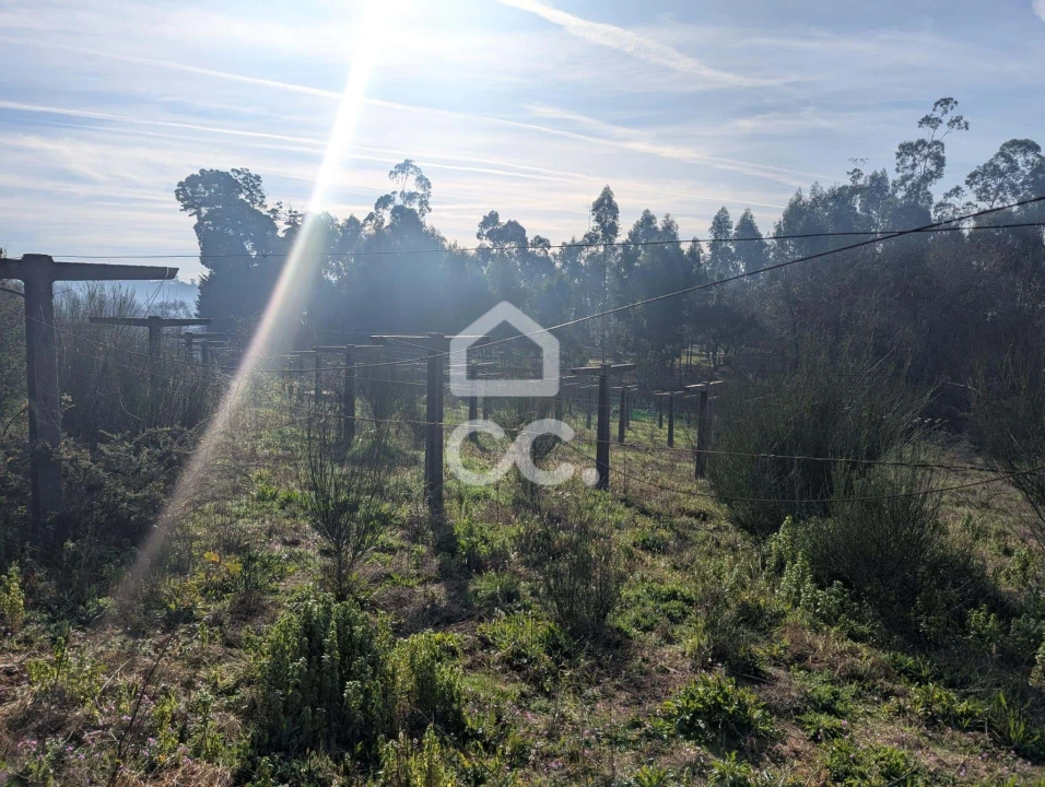 Terreno para Venda em Lemenhe, Mouquim e Jesufrei Foto 8