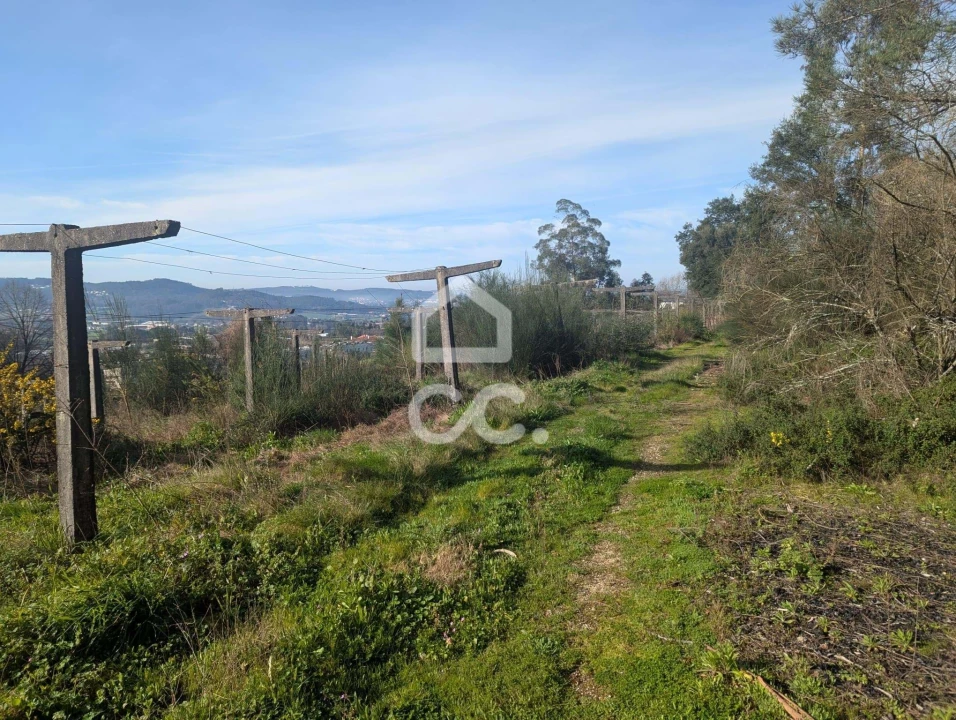 Terreno para Venda em Lemenhe, Mouquim e Jesufrei Foto 11