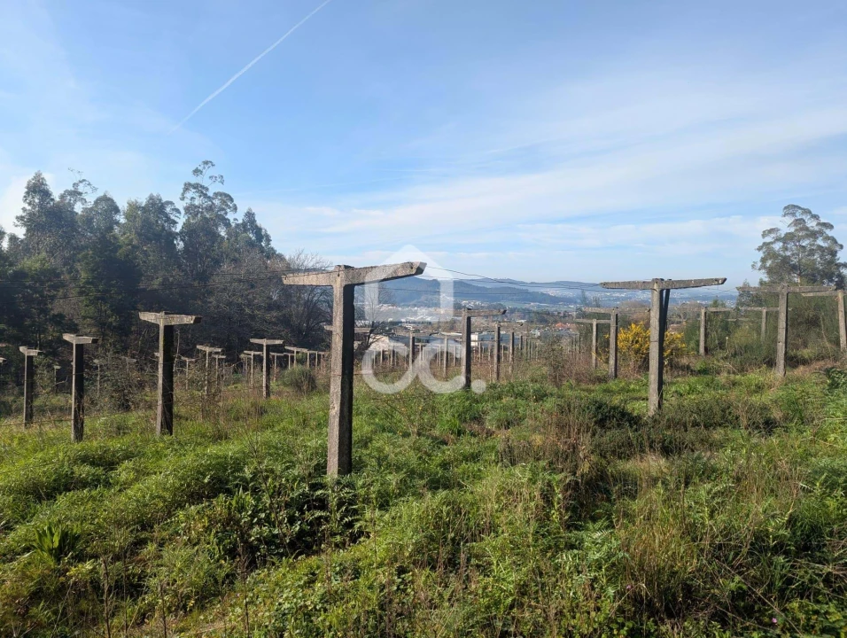 Terreno para Venda em Lemenhe, Mouquim e Jesufrei Foto 10