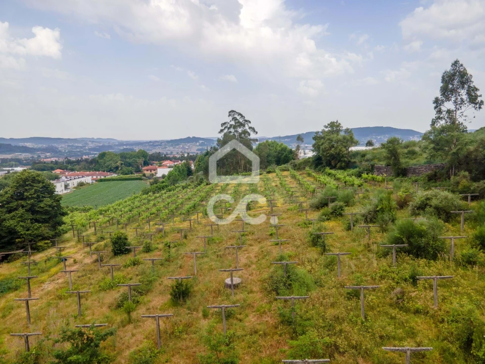 Terreno para Venda em Lemenhe, Mouquim e Jesufrei Foto 10