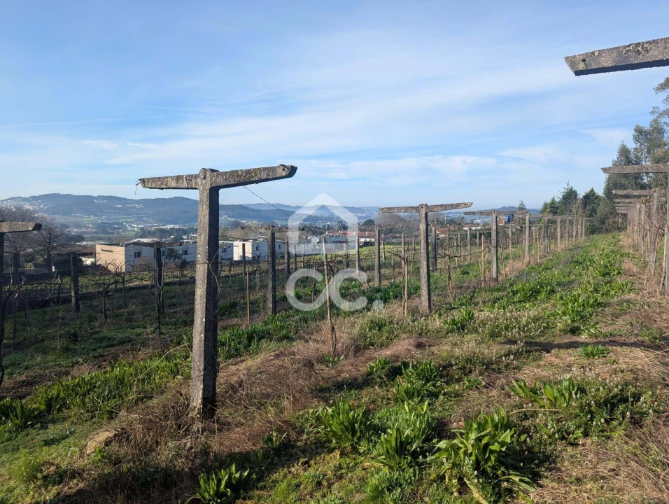 Terreno para Venda em Lemenhe, Mouquim e Jesufrei Foto 7