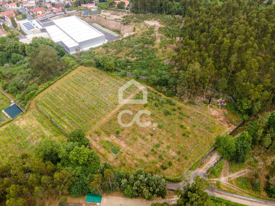 Terreno para Venda em Lemenhe, Mouquim e Jesufrei Foto 6