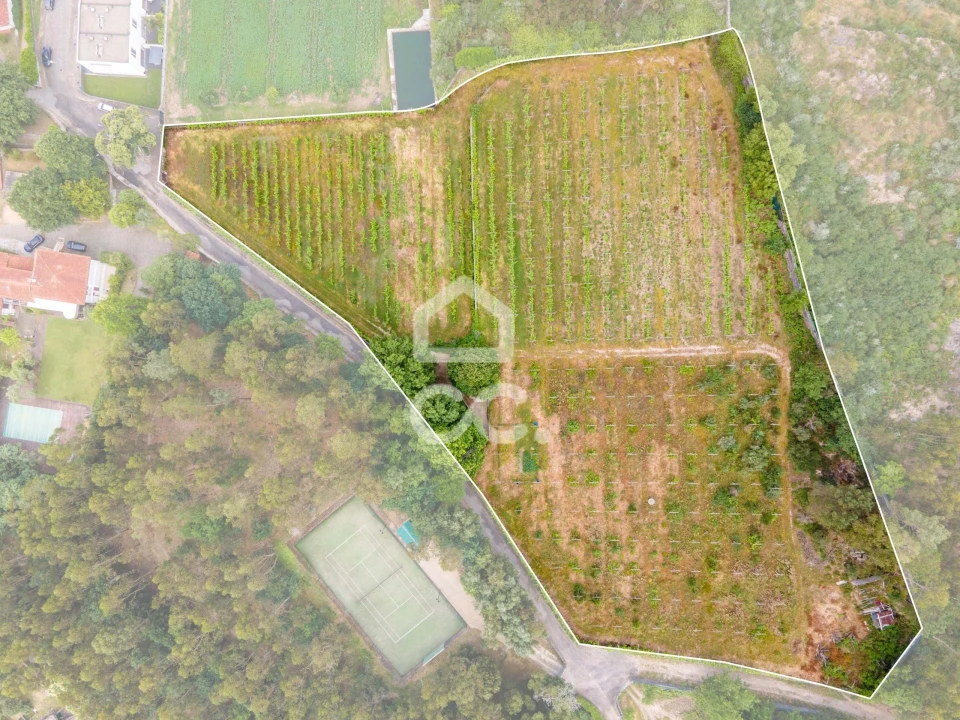 Terreno para Venda em Lemenhe, Mouquim e Jesufrei Foto 1