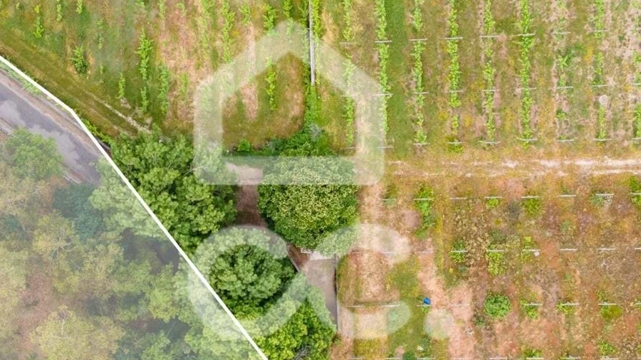 Terreno para Venda em Lemenhe, Mouquim e Jesufrei