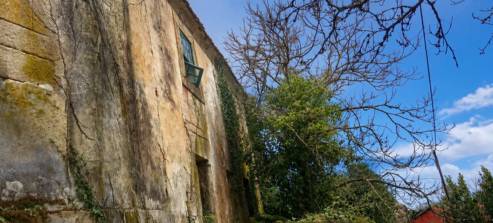 Moradia T3 para Venda em Cambra e Carvalhal de Vermilhas Foto 15