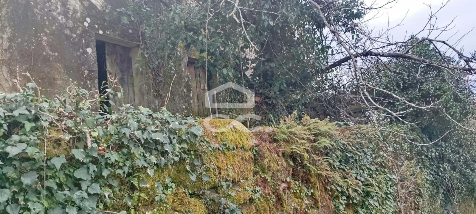 Moradia T3 para Venda em Cambra e Carvalhal de Vermilhas Foto 4