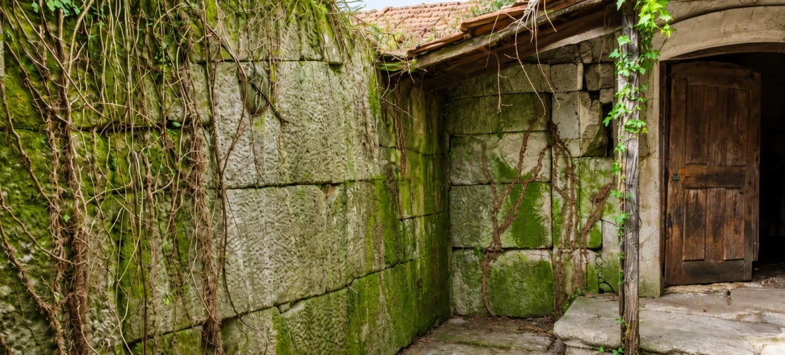 Moradia T3 para Venda em Cambra e Carvalhal de Vermilhas Foto 11