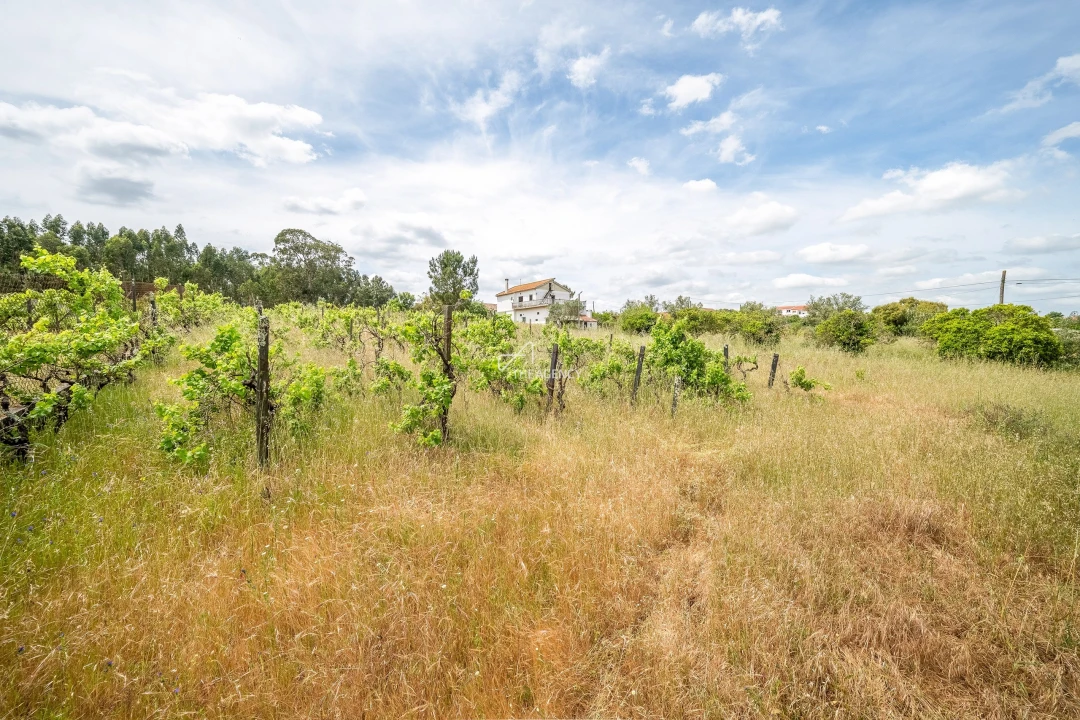 Quinta T3 para Venda em Aveiras de Baixo Foto 25