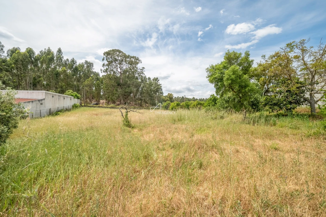 Quinta T3 para Venda em Aveiras de Baixo Foto 22