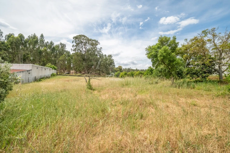 Quinta T3 para Venda em Aveiras de Baixo Foto 22