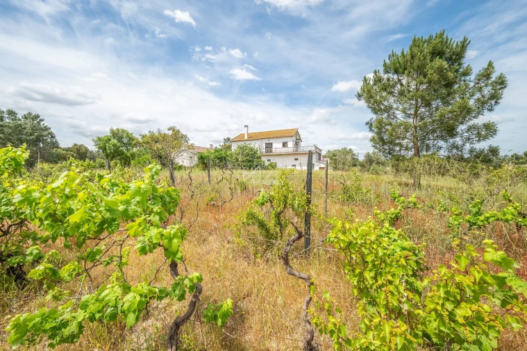 Quinta T3 para Venda em Aveiras de Baixo Foto 23