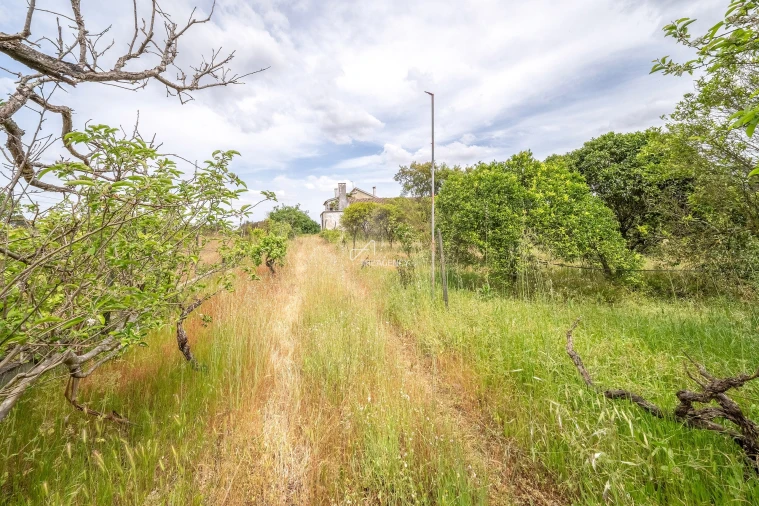 Quinta T3 para Venda em Aveiras de Baixo Foto 28