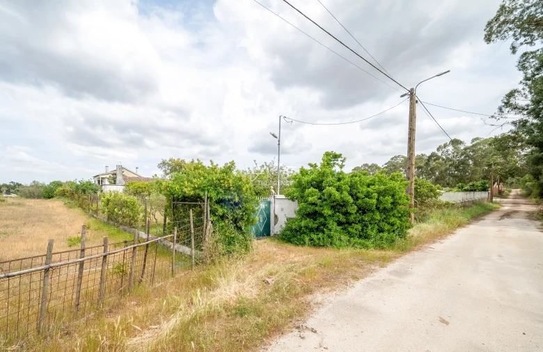 Quinta T3 para Venda em Aveiras de Baixo Foto 29