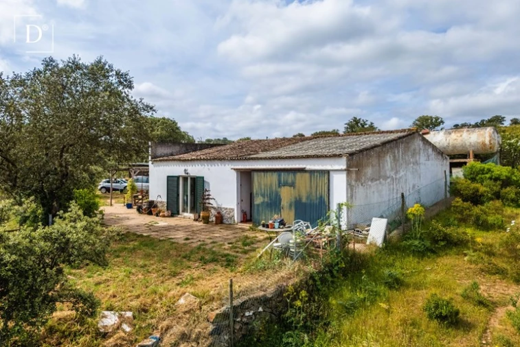 Moradia T3 para Venda em Almodôvar e Graça dos Padrões Foto 23